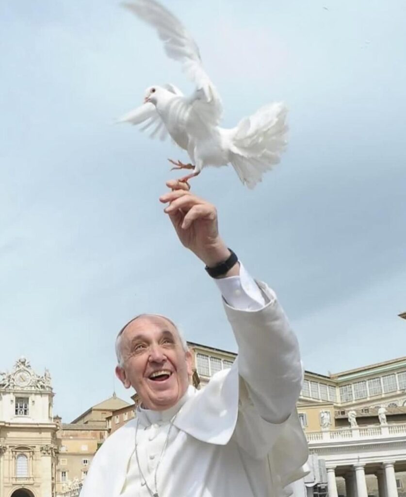 papa francisco
